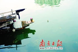 重金屬之患不能承受之重——江之念